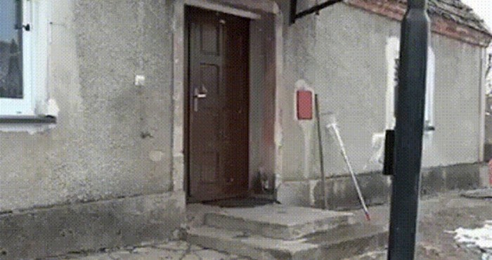 Pametni pas točno zna što treba napraviti da mu vlasnik otvori vrata kuće