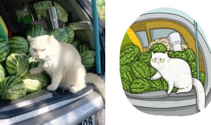 Netko na Instagramu pretvara viralne fotke mačaka u slatke ilustracije; evo najboljih primjera