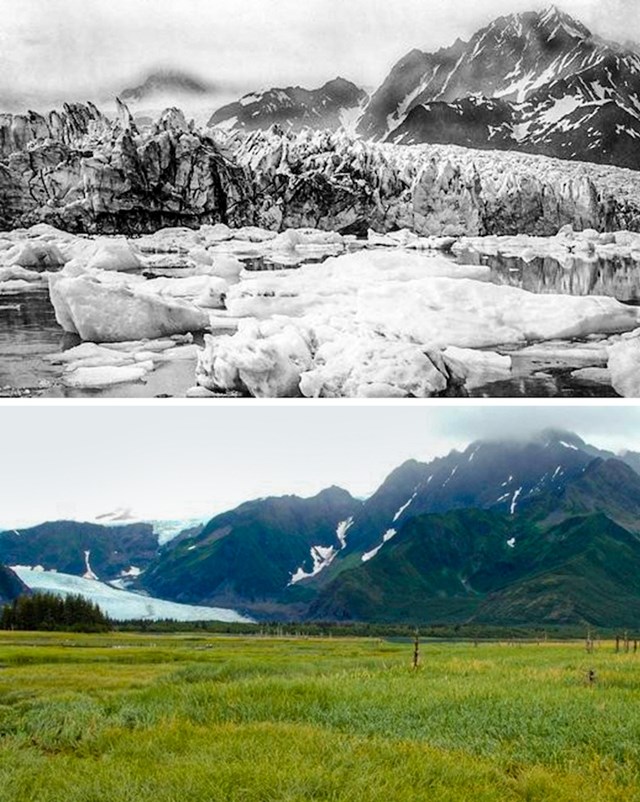 1. Glečer Pedersen, Aljaska, 1917. i 2005.