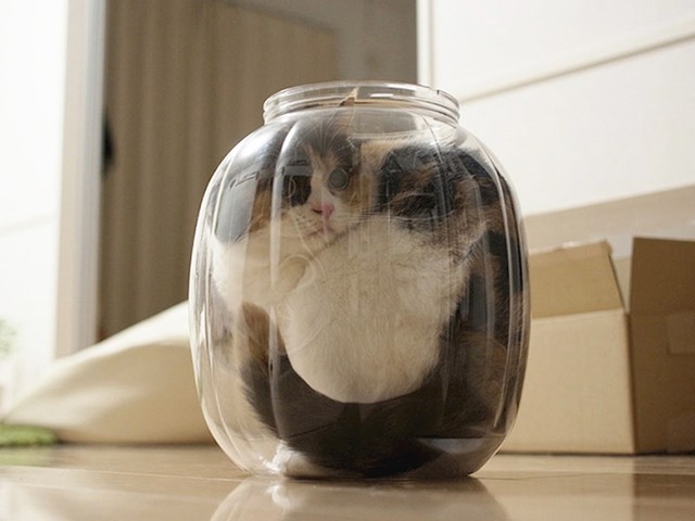 8.