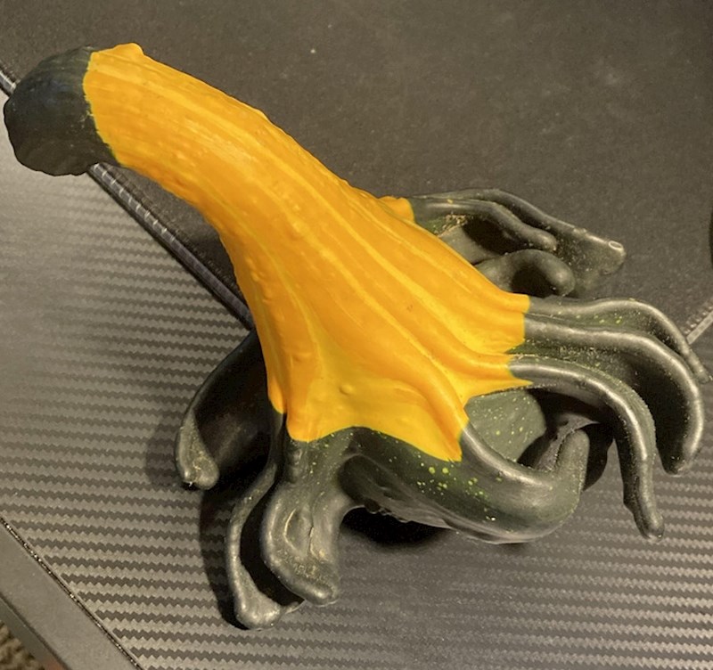 11. Vjerojatno najčudnija tikva koju ste vidjeli