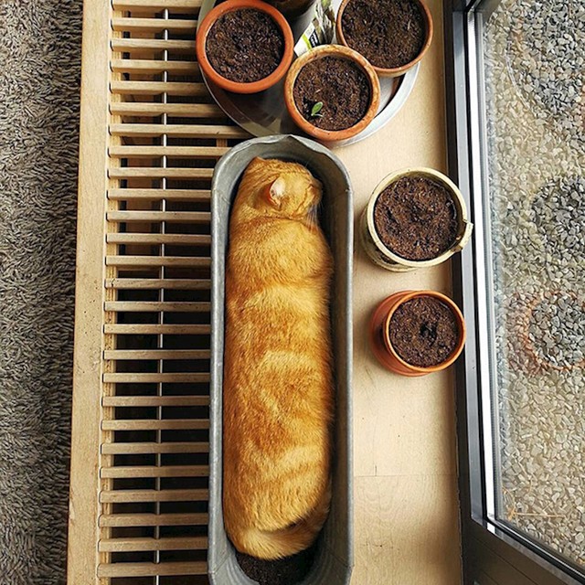 15.