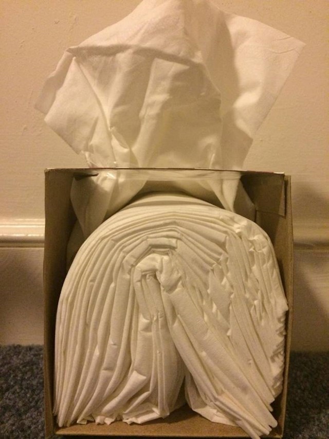 9. Unutrašnjost pakiranja papirnatih ručnika