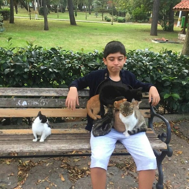3.