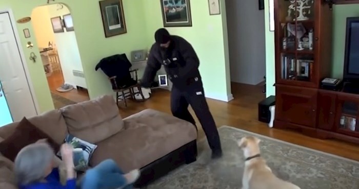 VIDEO Ljudi su testirali bi li njihovi psi zaštitili dom od provalnika, rezultati su iznenađujući