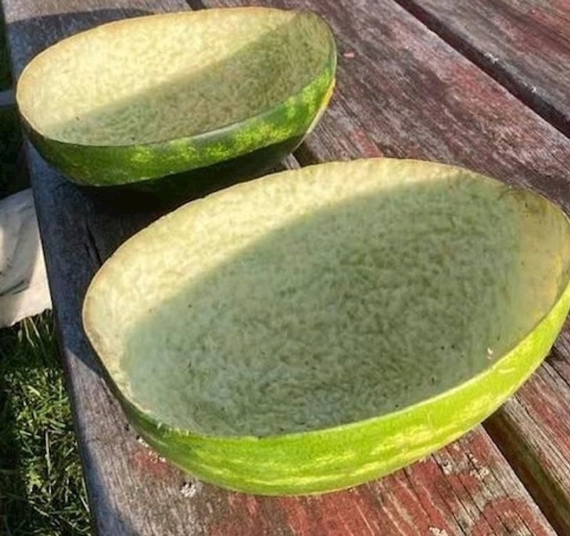 "Kokoši mojeg prijatelja su savršeno izdubile lubenicu".