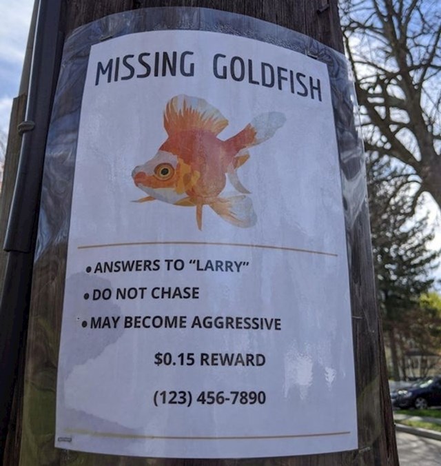 4. "Moj susjed je izgubio zlatnu ribicu..."