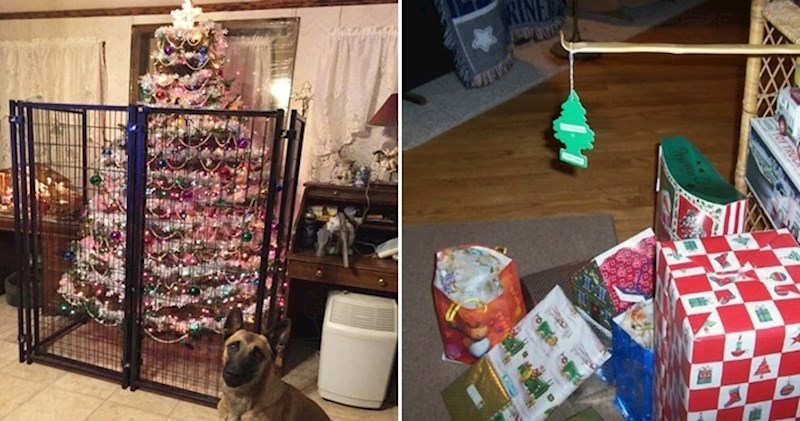 22 ljudi koji su smislili čudne metode za zaštitu božićnog drvca od kućnih ljubimaca