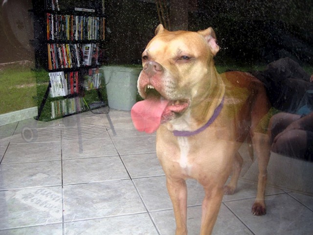 4.