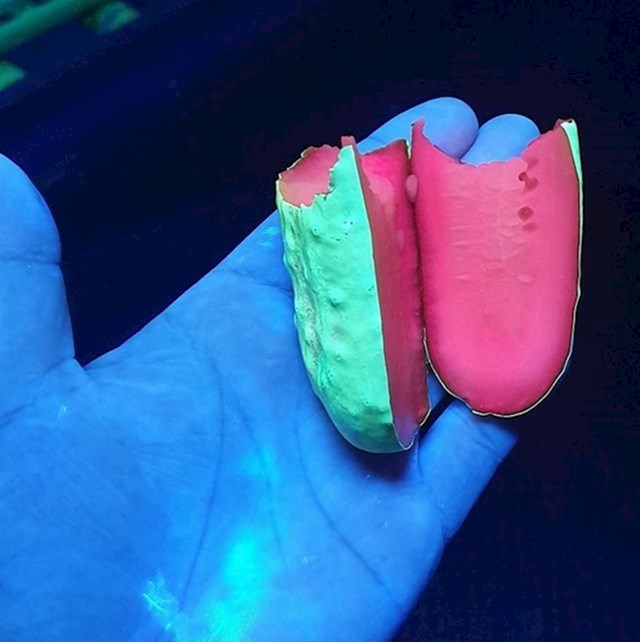 2. Ovako izgleda krastavac pod UV svjetlom.