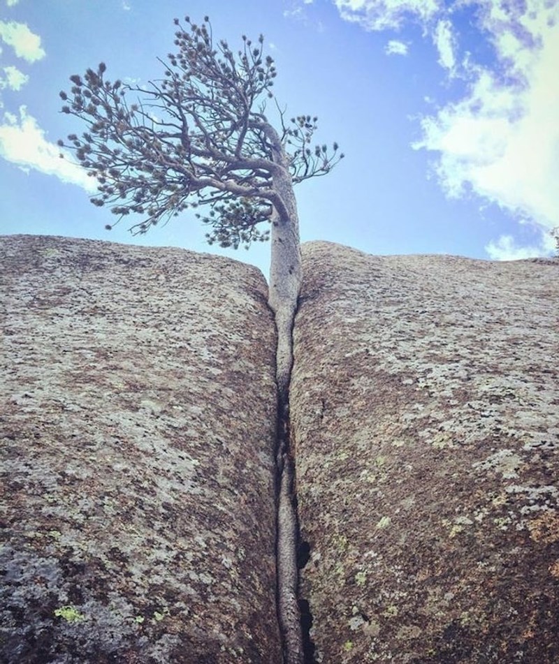 15. Život uvijek nekako pronađe način!