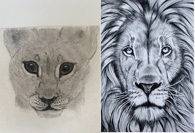 Napredak u crtanju divljih mačaka