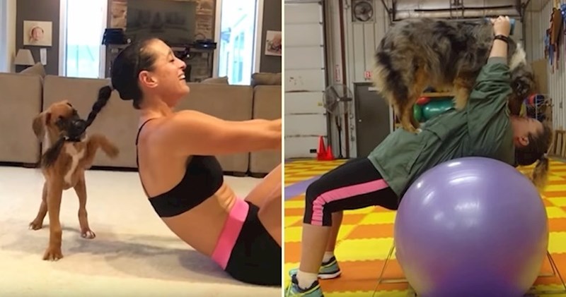 VIDEO Smiješni psi "pomažu" svojim vlasnicima u vježbanju