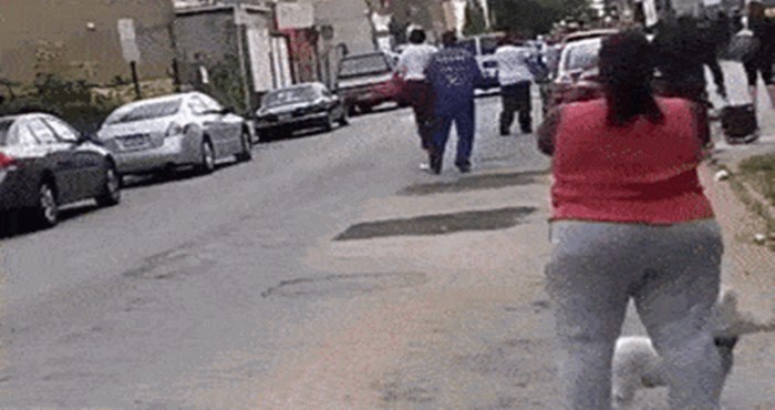 Promatrala je glavni događaj u kvartu, ali njezinom psu se to nije baš svidjelo