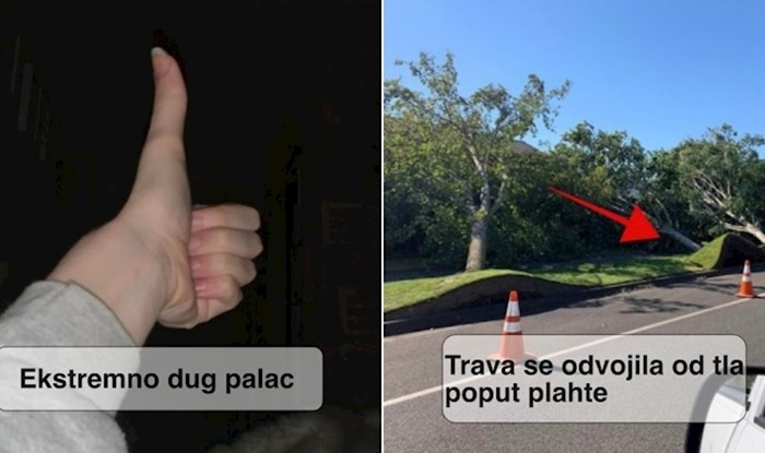 15 čudnih fotki koje će vas natjerati da preispitate svijet oko vas