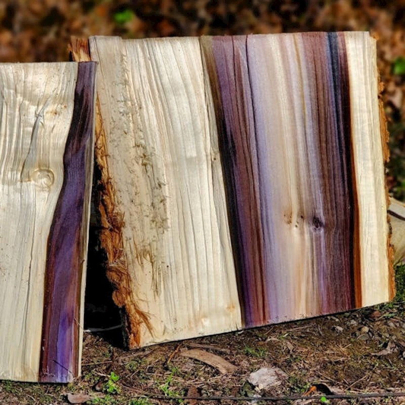 1. Razrezan komad drva fascinantnih boja