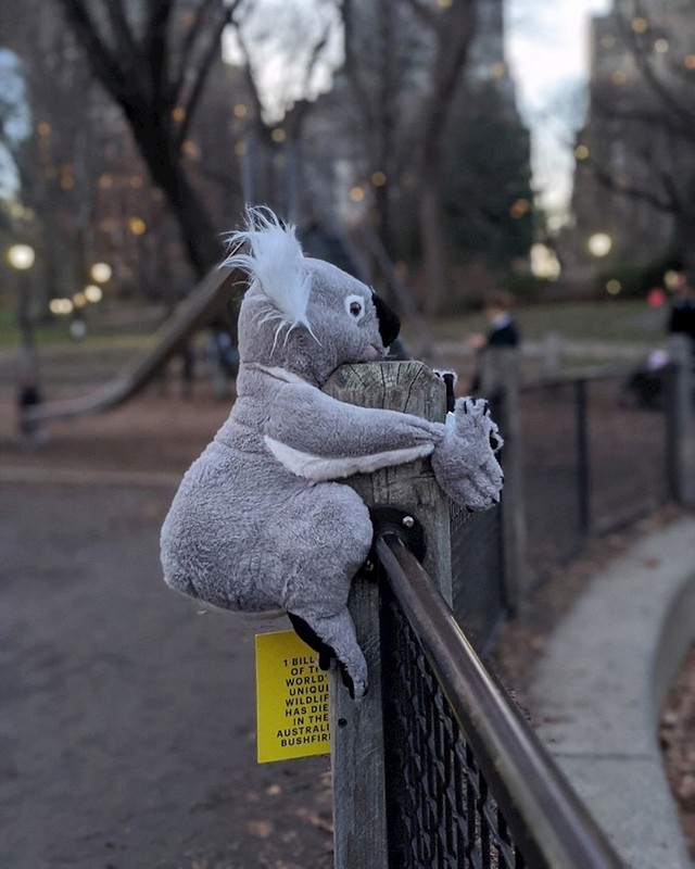 7. Central Park