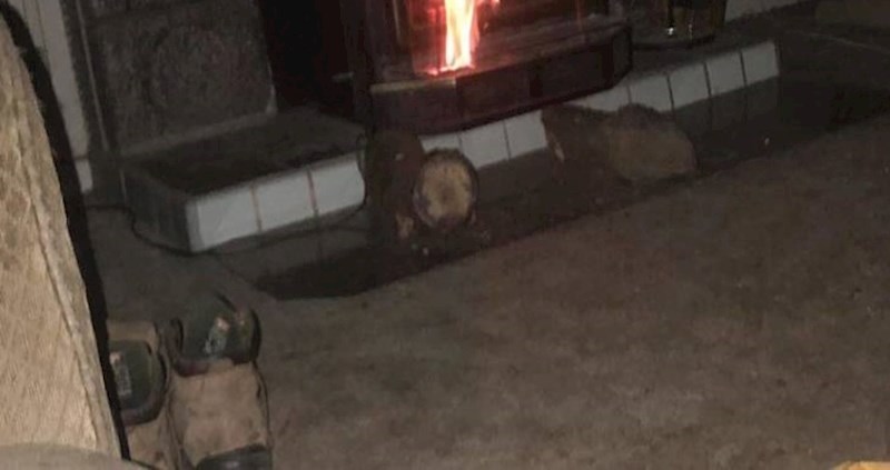 Vatra u ovom kaminu poprimila je zanimljiv oblik i izgleda kao začarana