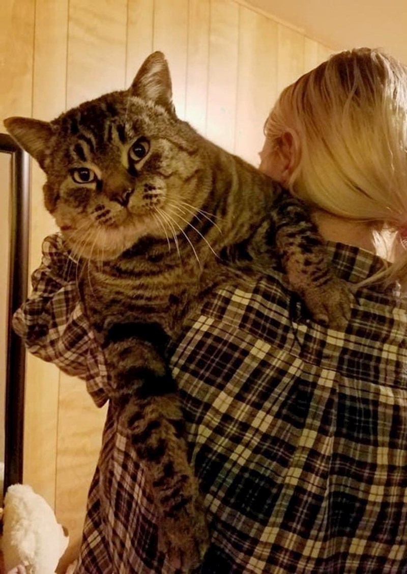 17. Još jedan veeeeliki dečko za kraj 🙂