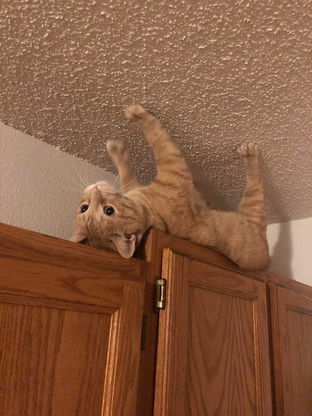 18.