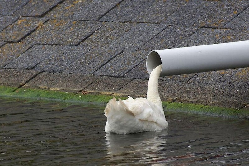3. Pjena koja istječe kroz cijev