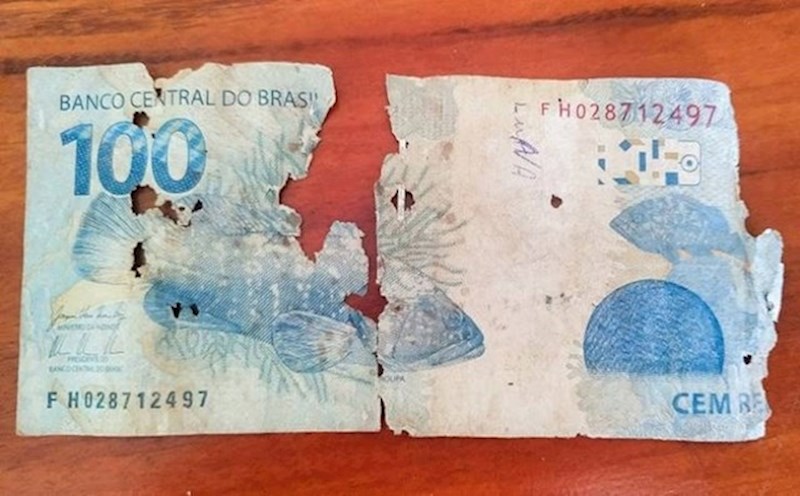 12. Nemojte zaboravljati novčanice po ladicama! Moljci ih obožavaju!