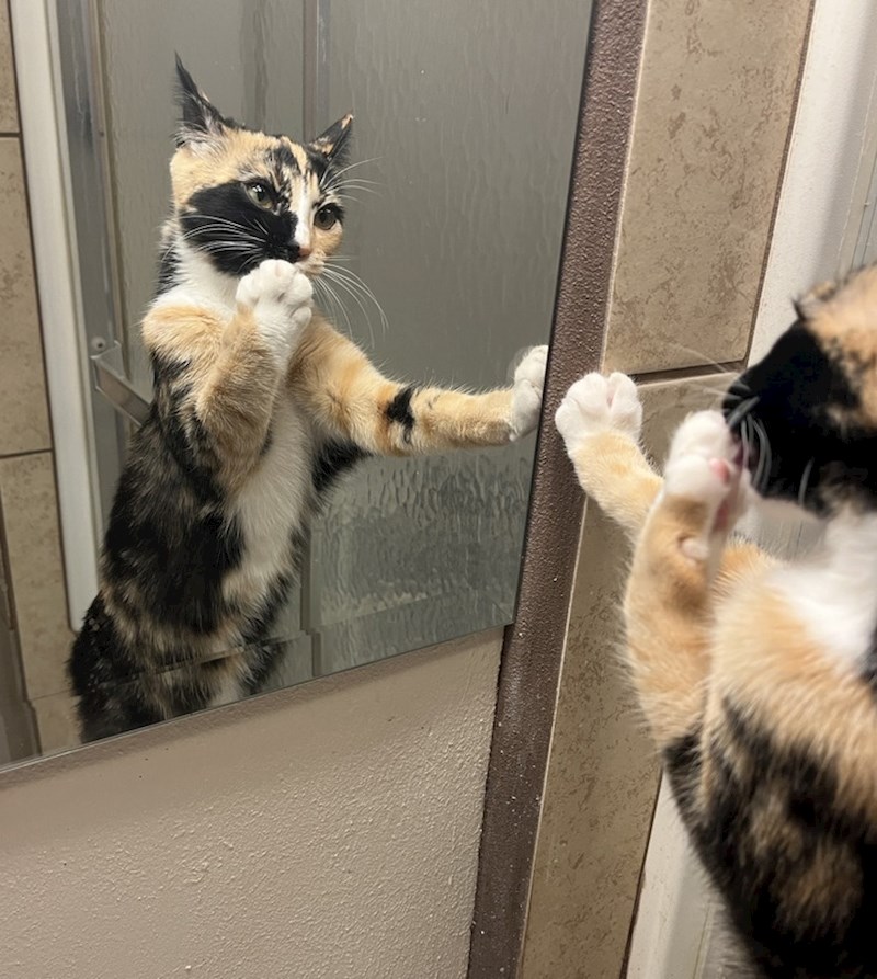 17. "Joooj kako sam zgodna!"