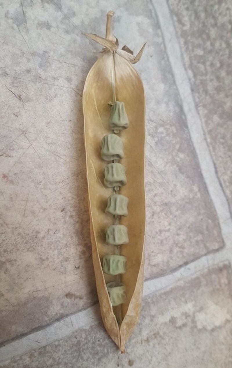 Grašak izgleda ovako kad se isuši.