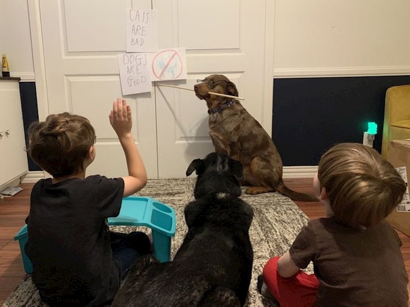 6. Školovanje kod kuće 😝