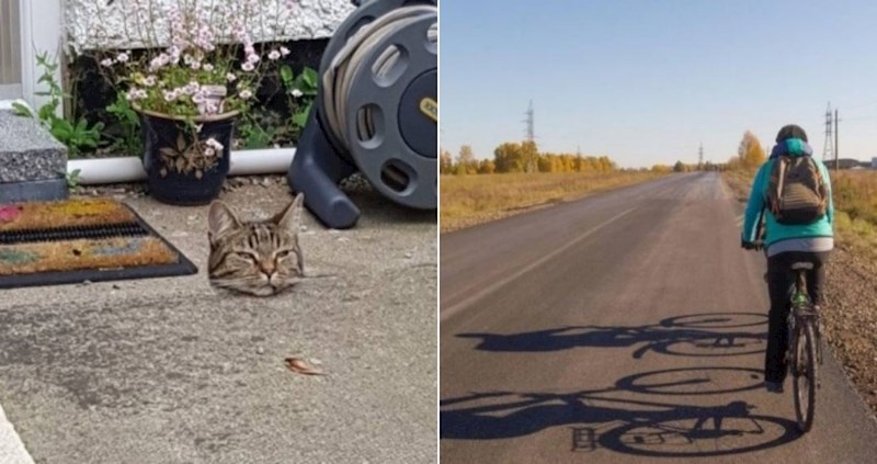 20 fotki koje ćete morati dvaput pogledati da shvatite što se događa