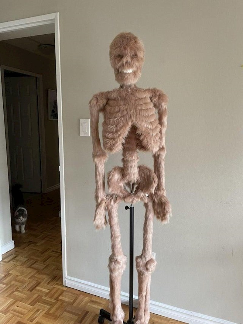 2. A vjerojatno niti dlakavi ljudski kostur