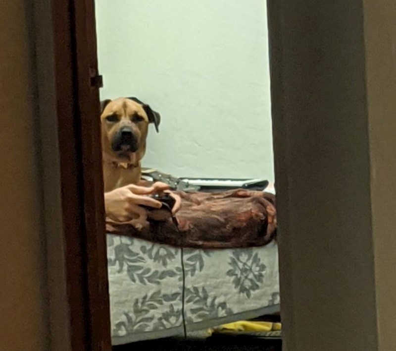 9. Pas igra Play Station?