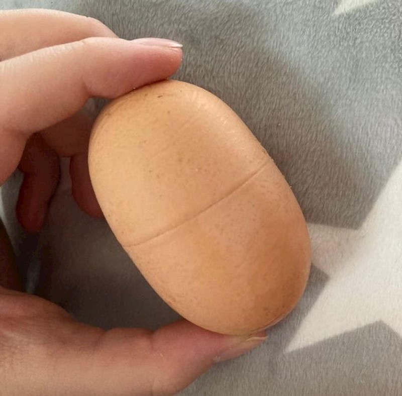 8. Kokoš je snijela kinder jaje?