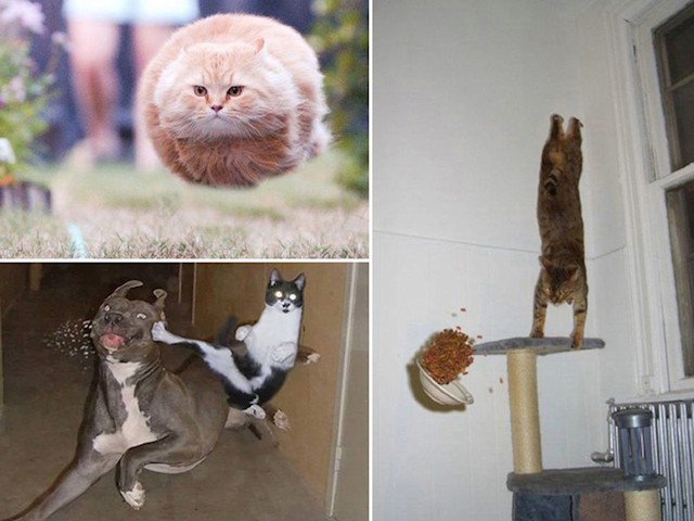 13.
