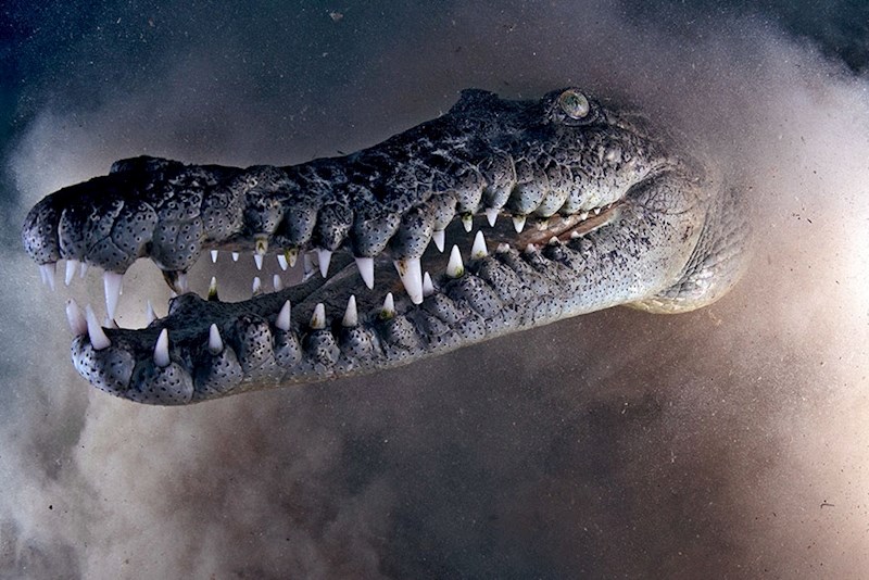 19. mjesto - Emry Oxford