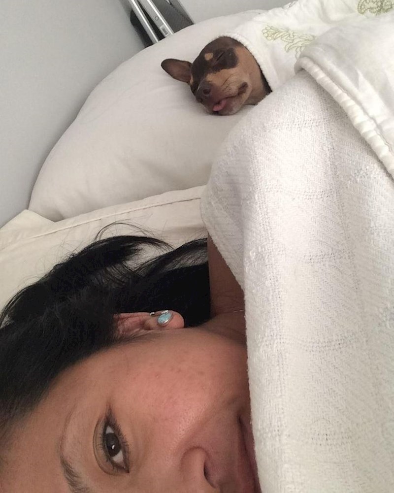 1. "Dobila sam anatomski jastuk na poklon. Pogodite tko mi ga je ukrao."