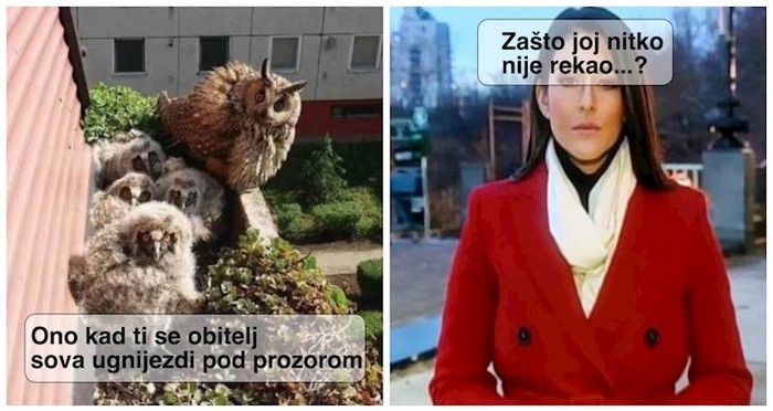 14 ljudi koji su se našli u vrlo neočekivanim situacijama
