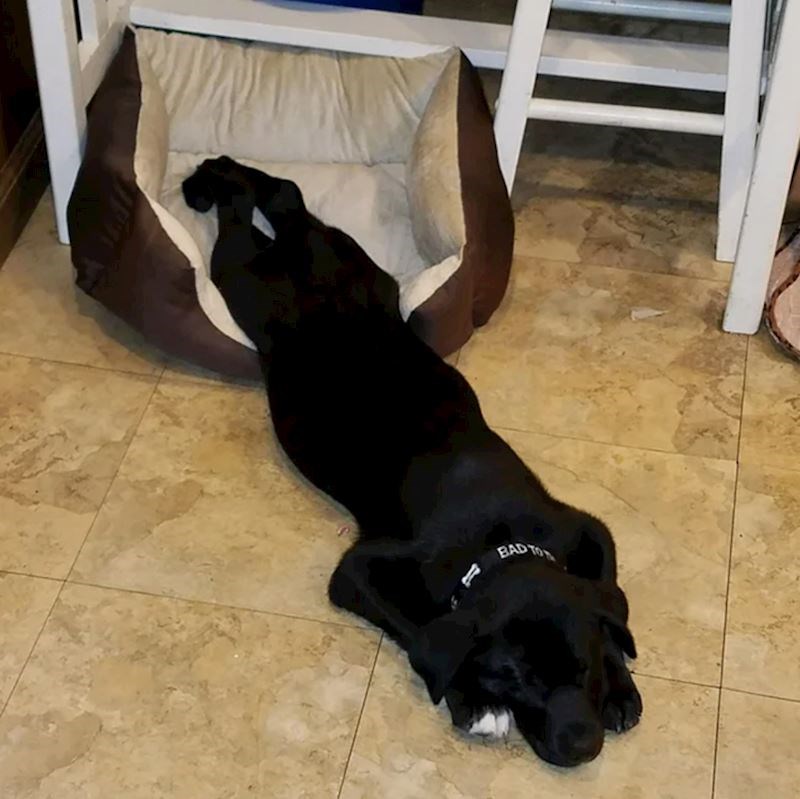 4. Ono kad si toliko umoran da nemaš snage doći do kreveta i zaspeš na putu do njega❤️