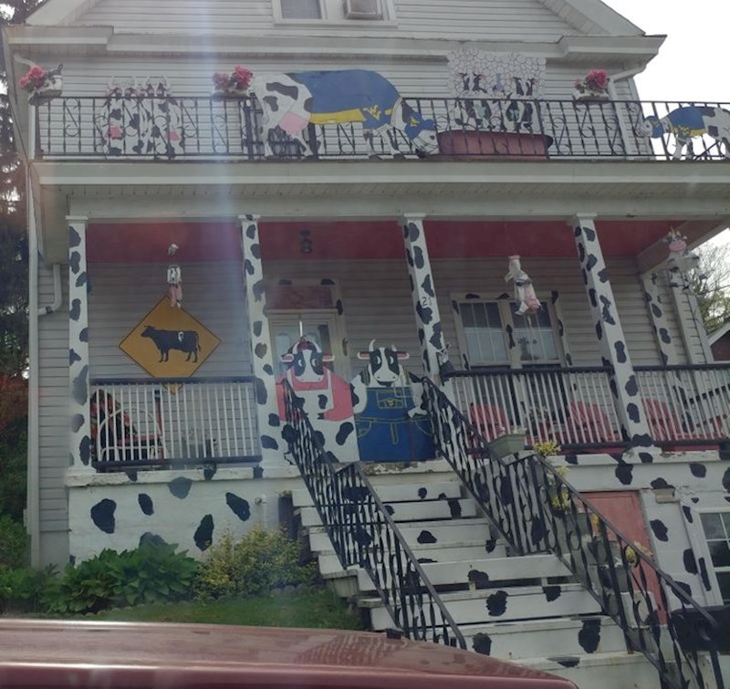 15. Vlasnici ove kuće su zasigurno ljudi koji OBOŽAVAJU krave