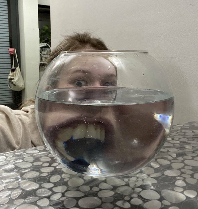 8. "Žena mi je poslala fotku naše nove ribe!"