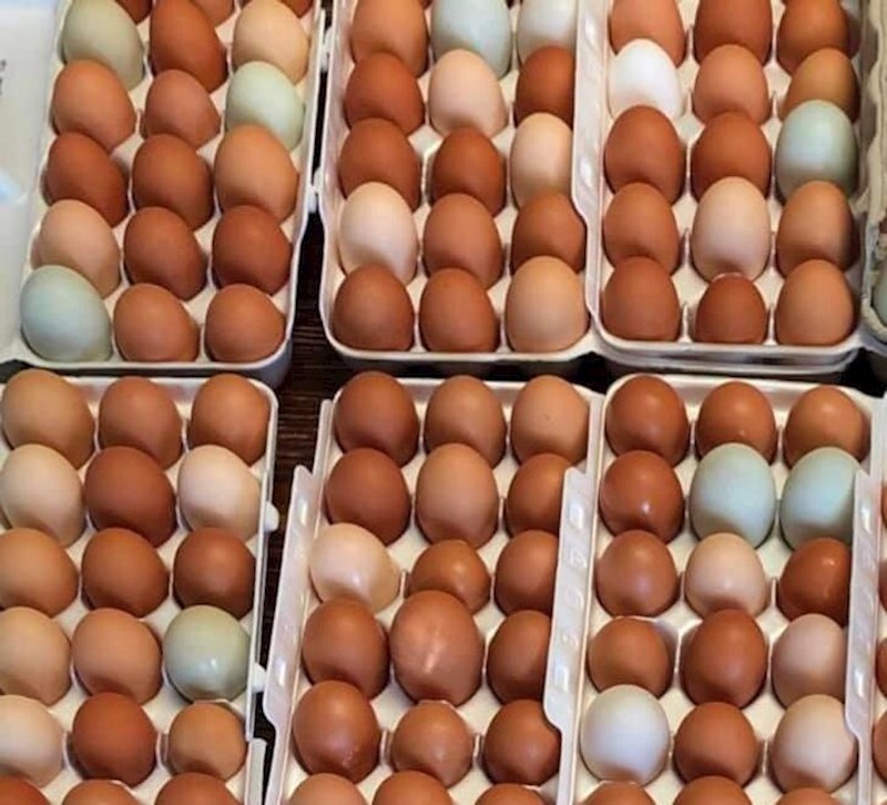 10. Jaja nisu udubljena, samo tako izgledaju zbog sjena