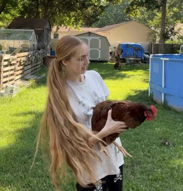23.