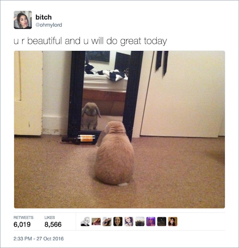 11. "Predivna si i rasturit ćeš danas!"