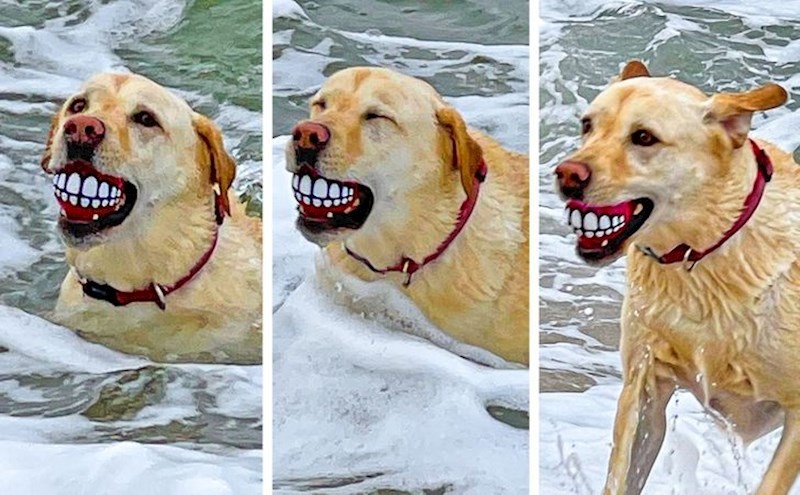 1. Susjedi bježe od njega, a on je samo dobio novu igračku...