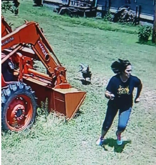 3. Mama mi je danas tvrdila da ju je napao pijetao. Morala mi je pokazati snimku nadzorne kamere da joj povjerujem!