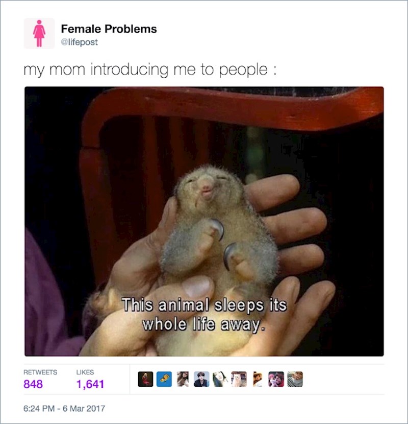 9. Kad me moja mama predstavlja ljudima: