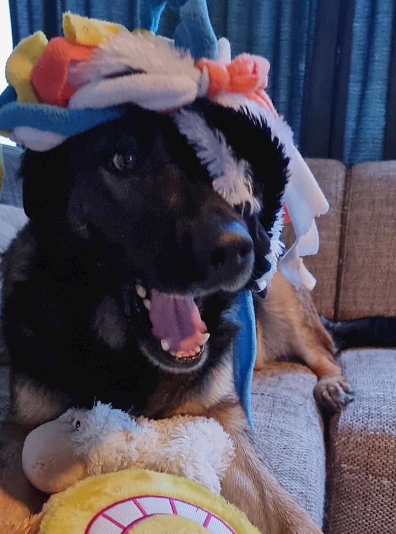 9. "Njegova faca kad je shvatio da su sve ove igračke samo za njega!"