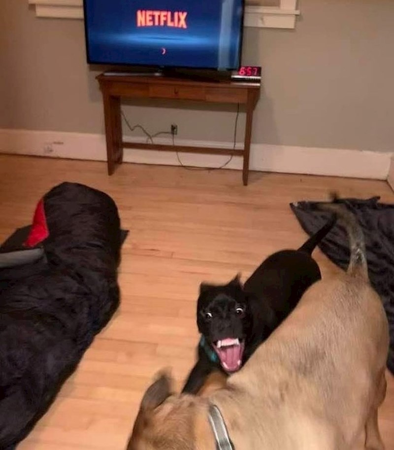 8. Netflix i chill, kažu. Baš i ne u ovom slučaju...