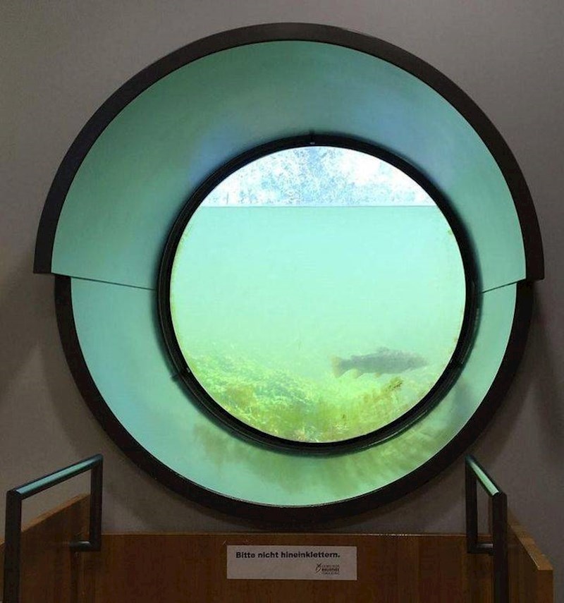 5. Prozor jedne knjižnice daje pogled na jezero