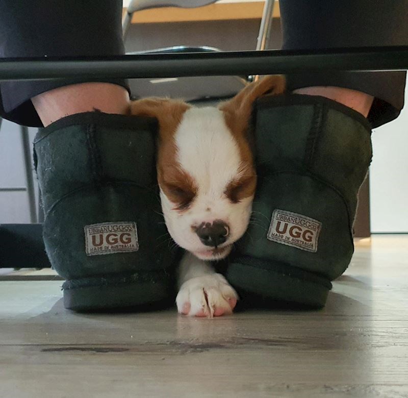 1. Savršeno mjesto za utopliti se